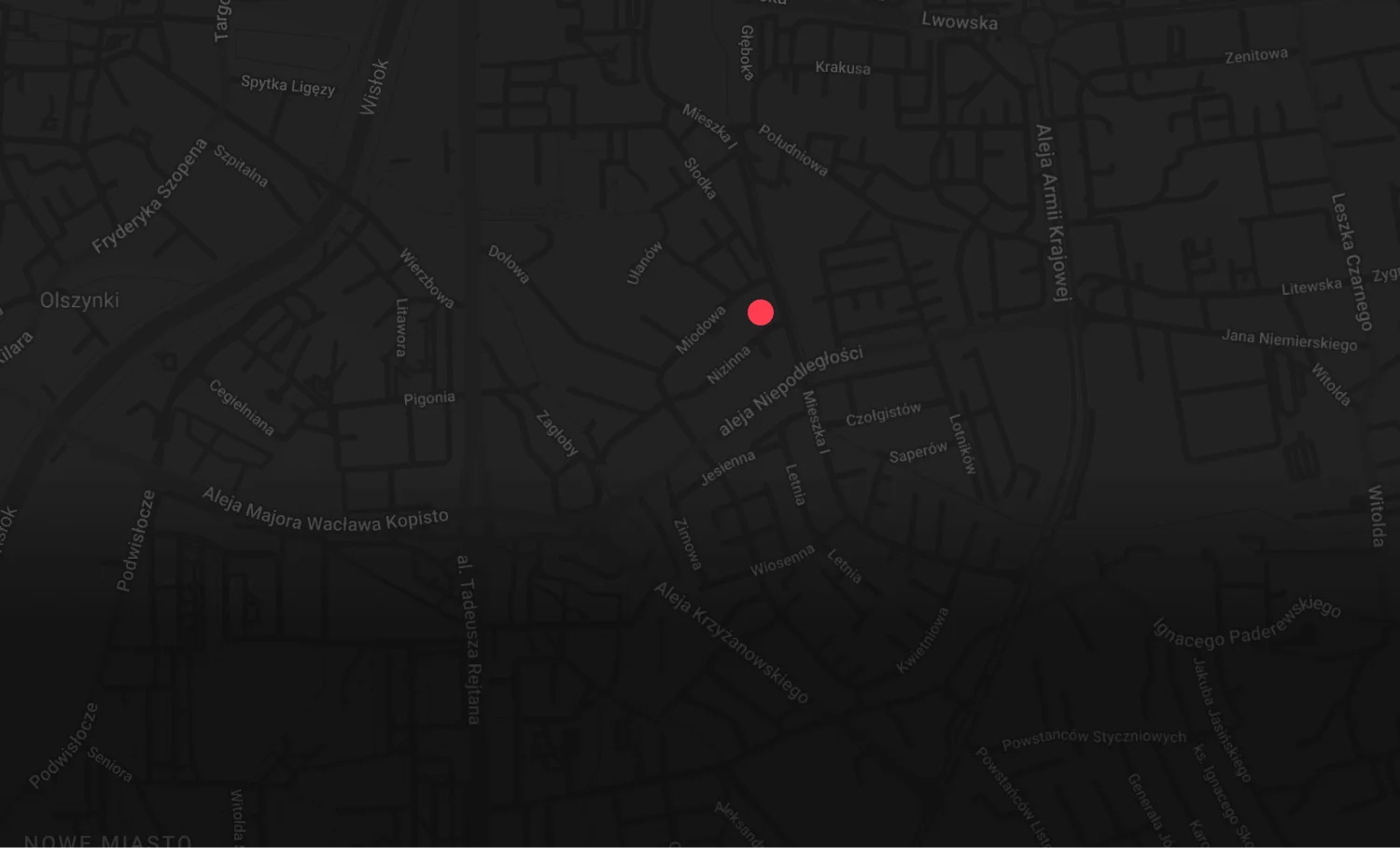 embeded map